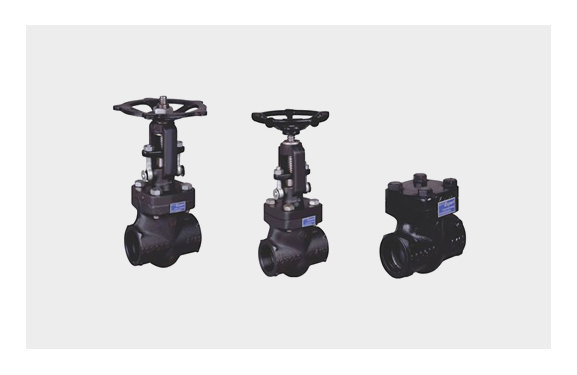 Expert Valve Dealers in Pune| Classic Flow Controls Pvt. Ltd